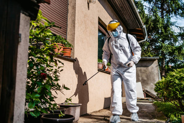 Best Flea Control Services  in West Grove, PA