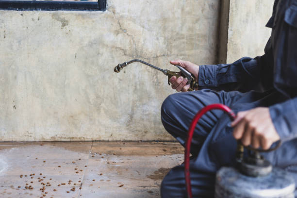 Best Pest Removal Services  in West Grove, PA